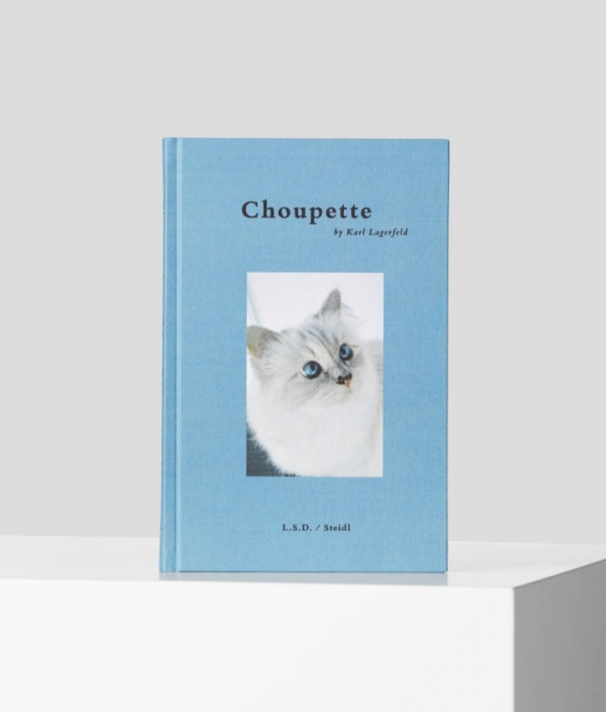 WOMEN'S Choupette: Scrapbook Of A Cat - Light Blue